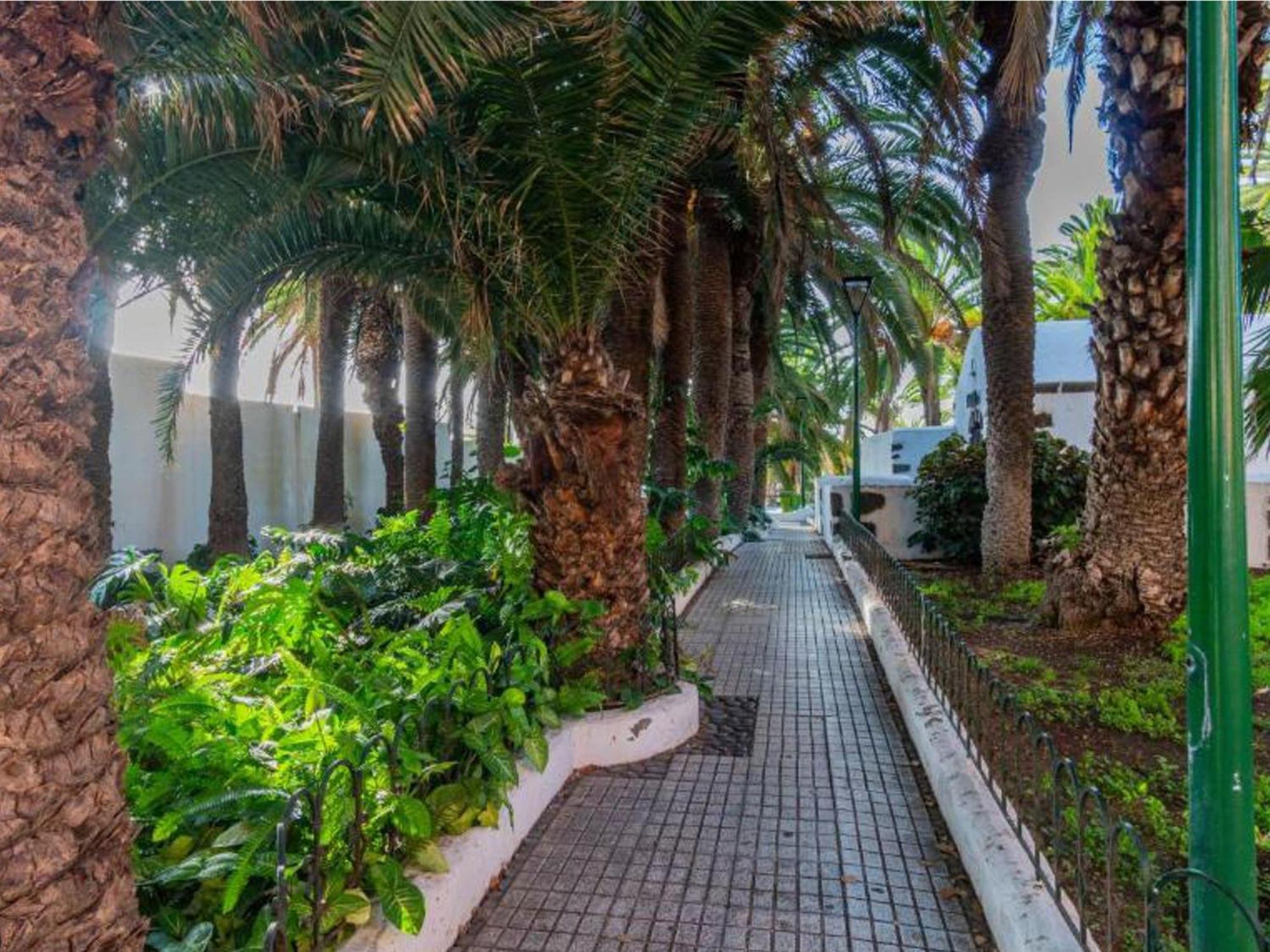 Live Puerto Valle Luz Puerto de la Cruz  Ngoại thất bức ảnh